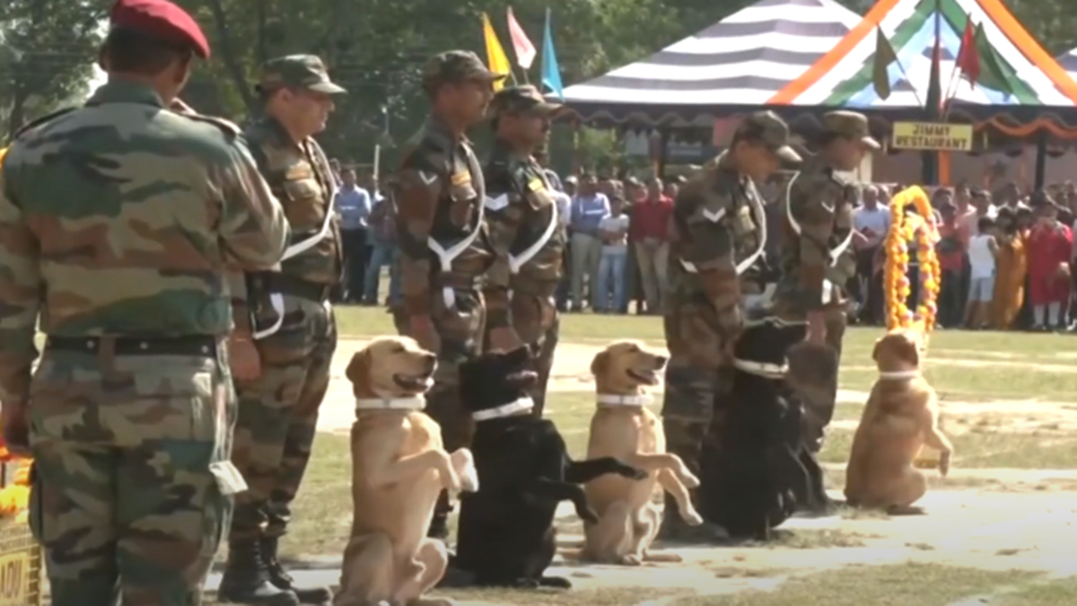 Latest News, Breaking News, Global News