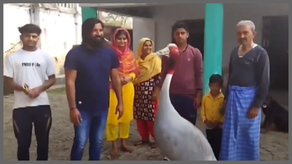 Latest News, Breaking News, Global News