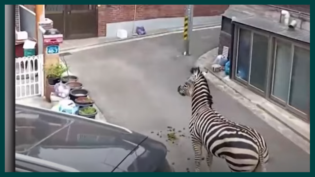 Latest News, Breaking News, Global News