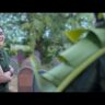 Uppu Kappurambu Movie Review