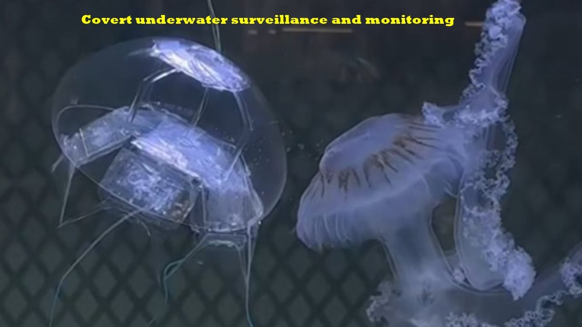 covert underwater surveillance and monitoring